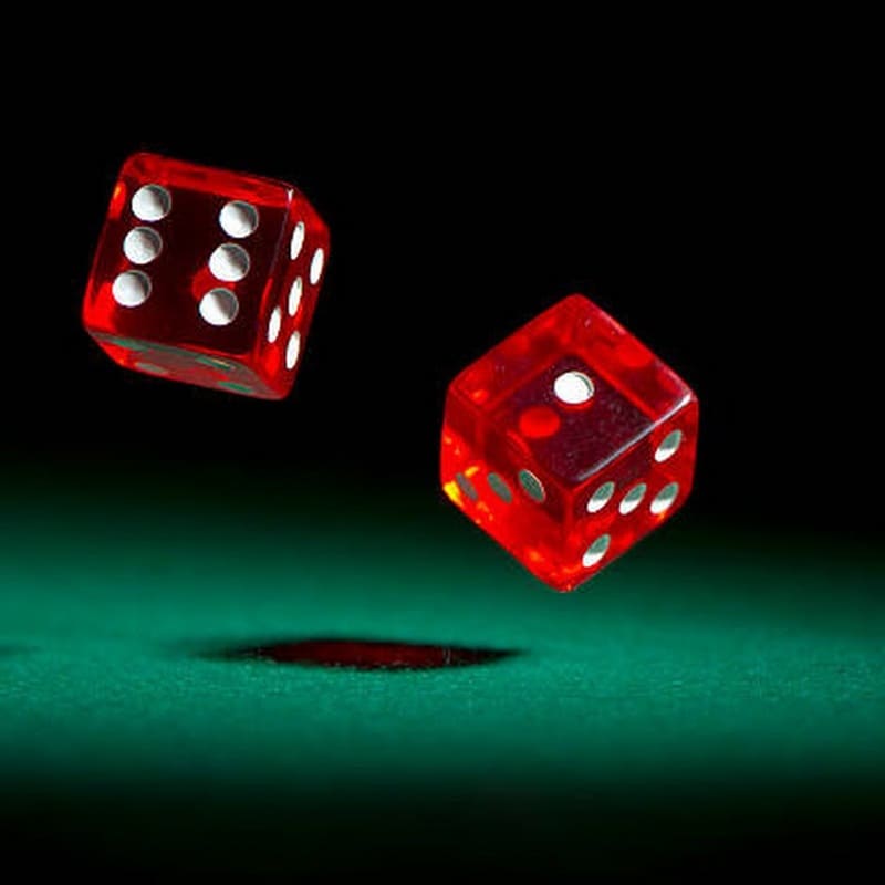 Experts reviewing casinos
